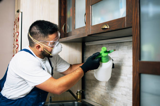 Best Affordable Pest Control Services  in Sweeny, TX