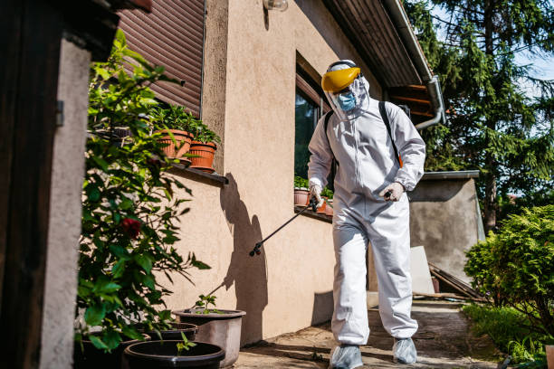 Best Local Pest Control Services  in Sweeny, TX