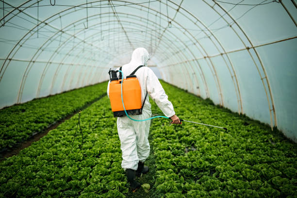 Best Best Pest Control Companies  in Sweeny, TX