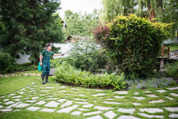 Best Pest Removal Services  in Sweeny, TX