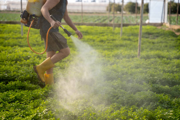 Best Pest Prevention Services  in Sweeny, TX