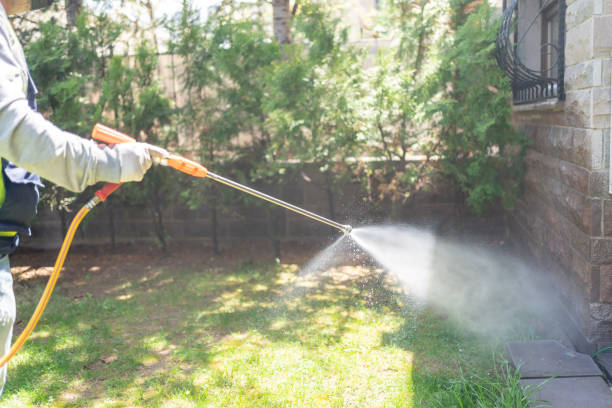 Best Wildlife Control Services  in Sweeny, TX