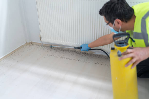 Best Pest Inspection Near Me  in Sweeny, TX