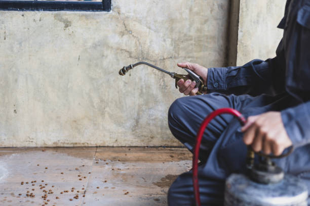 Best Best Pest Control Companies  in Sweeny, TX